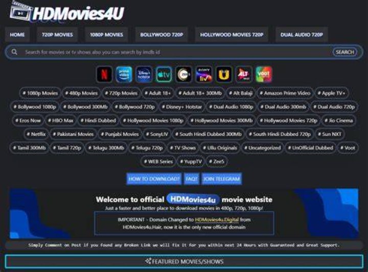 300 HDMovies4U Hindi Dubbed: A Comprehensive Guide for Movie Enthusiasts