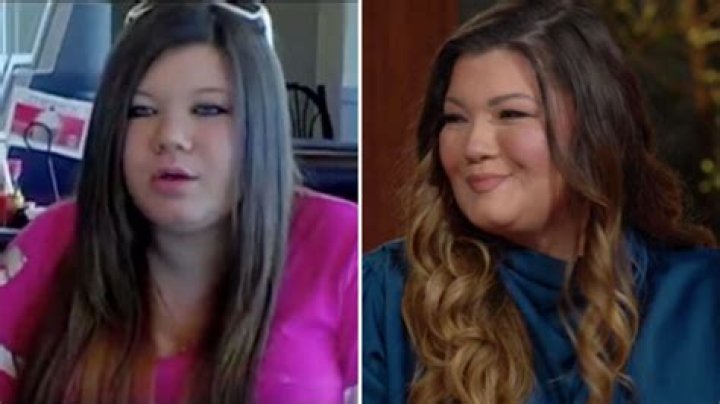 Amber Portwood Pregnant: A Comprehensive Look into Her Journey and Life