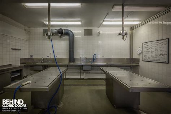 Behind the Curtains: Exploring the Celebrity Morgue