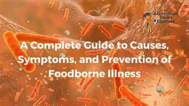Complete Guide to Common Illnesses: Symptoms, Causes, and Prevention