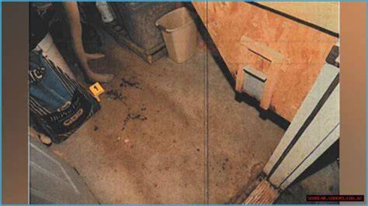 Dee Dee Crime Scene Leaked Photos: The Truth Behind the Controversy
