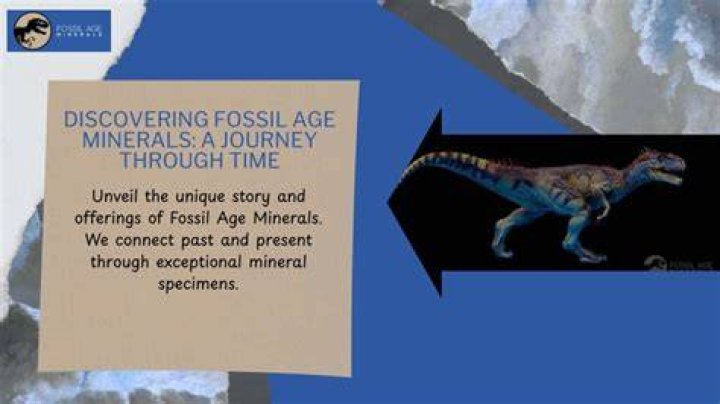 Discovering the Age of The Rizzer: A Journey Through Time