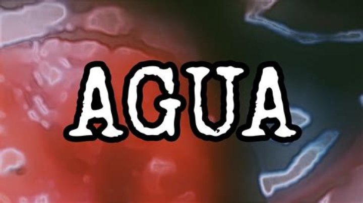 Discovering the Fascination Behind "Quieres Agua Video"