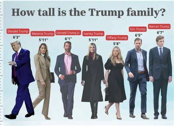 Donald Trump's Height in Centimeters: A Comprehensive Look