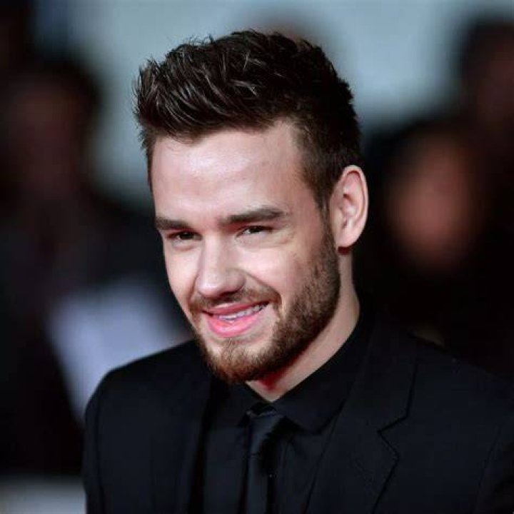 Exploring the Curiosity: Liam Payne's Penis Size