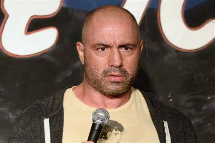 Exploring the Dynamic Exchange: The Joe Rogan Diddy Podcast