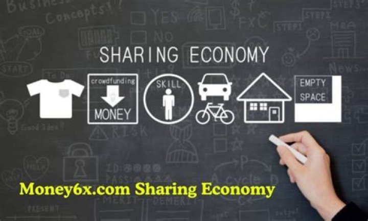 Exploring the Dynamics of Money6x.com Sharing Economy