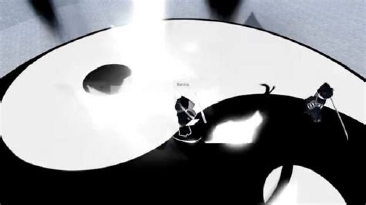 Exploring the Mystique of Duality Bankai