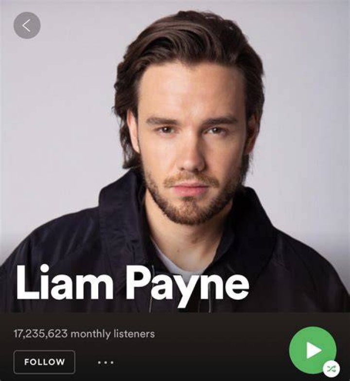Exploring the Online Presence of Liam Payne on Reddit
