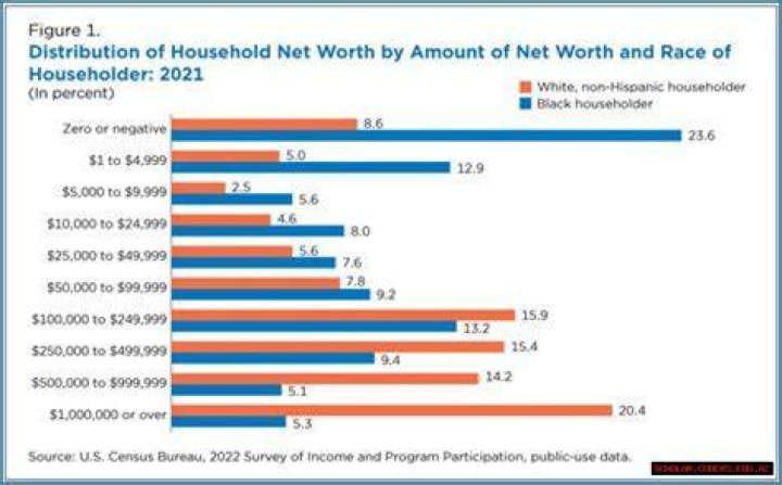 Exploring the Wealth of Ray Trapani: Net Worth 2024