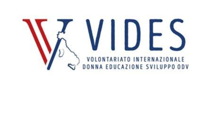 Exploring the World of Vides: A Comprehensive Guide