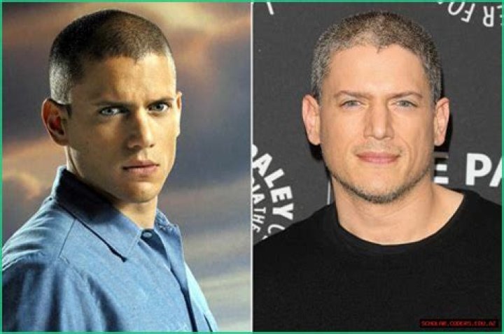 Exploring Wentworth Miller's Partner and Personal Life