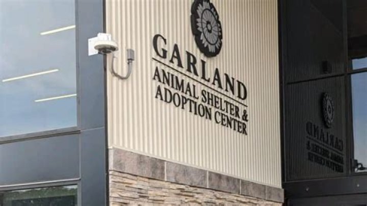 Garland Animal Shelter: A Beacon of Hope for Homeless Pets