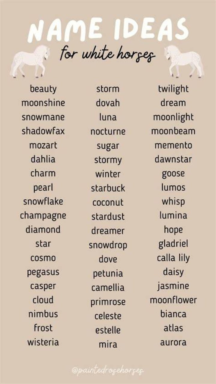 Good Horse Names for a White Horse: Inspiring and Unique Ideas