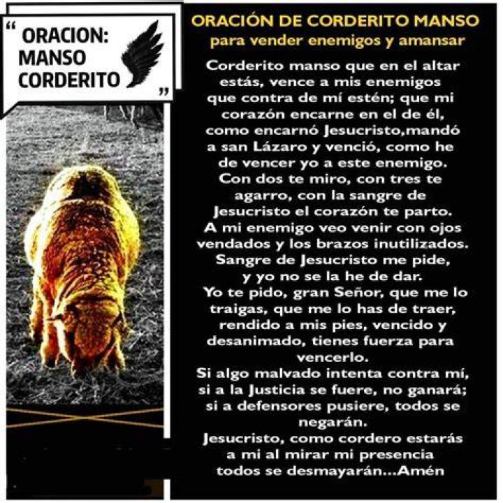La Oración del Manso Cordero: Un Camino de Fe y Esperanza