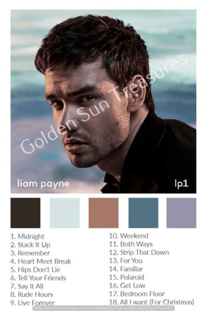 Liam Payne: A Colorful Journey into the Cartoon World