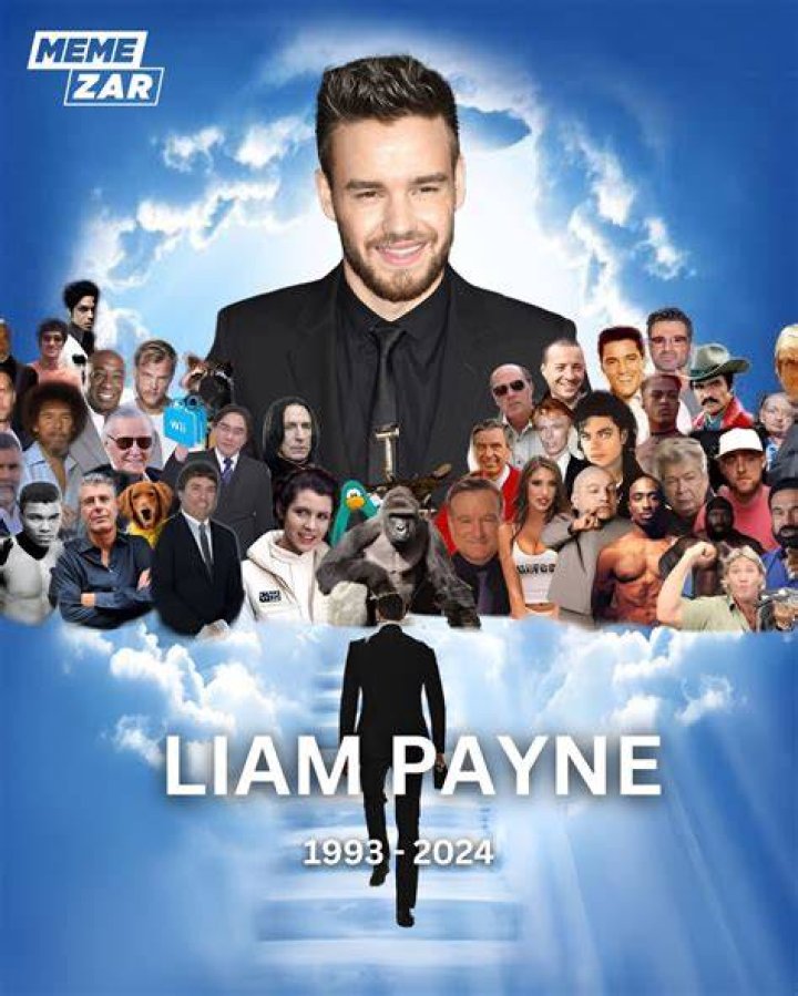 Liam Payne Memes: The Humor Behind the Heartthrob
