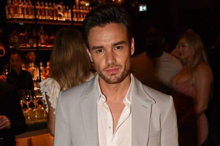 Liam Payne: The Target of Online Trolls