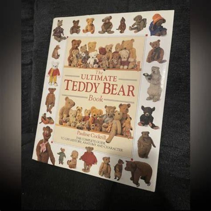 Maidi Bear: The Ultimate Guide to the Iconic Teddy Bear