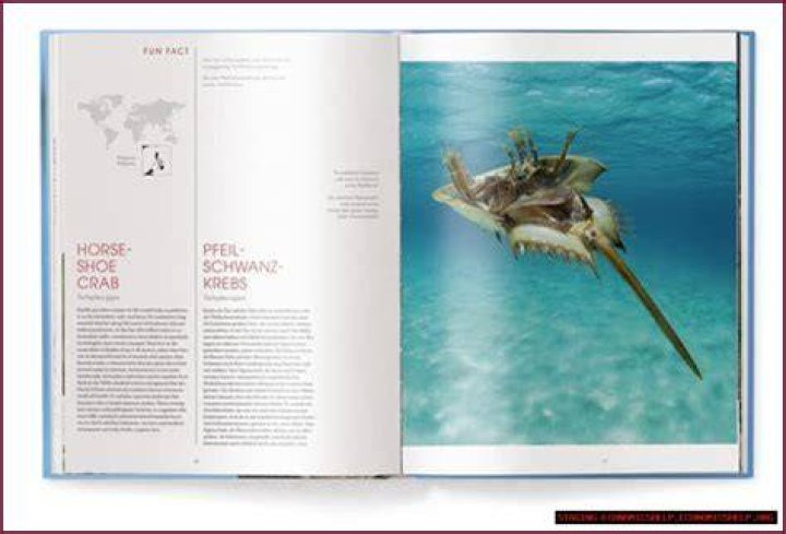 Masa49: Your Ultimate Destination for Unique Experiences