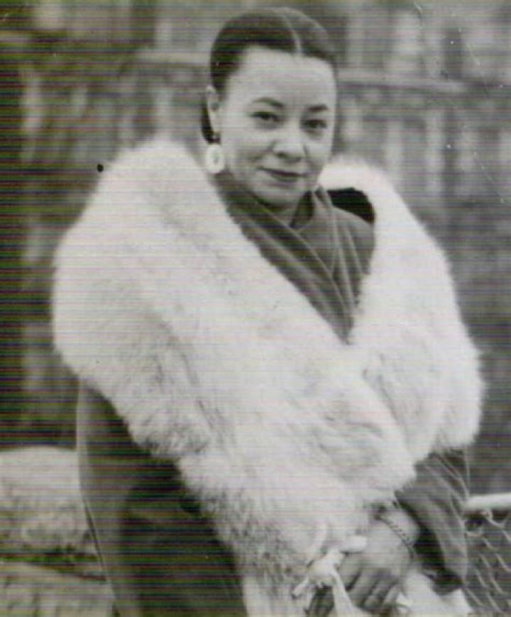 Mayme Johnson: A Trailblazer in American History