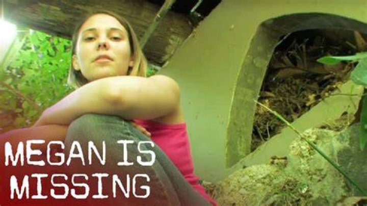 Megan Is Missing: The Real-Life Story of Josh