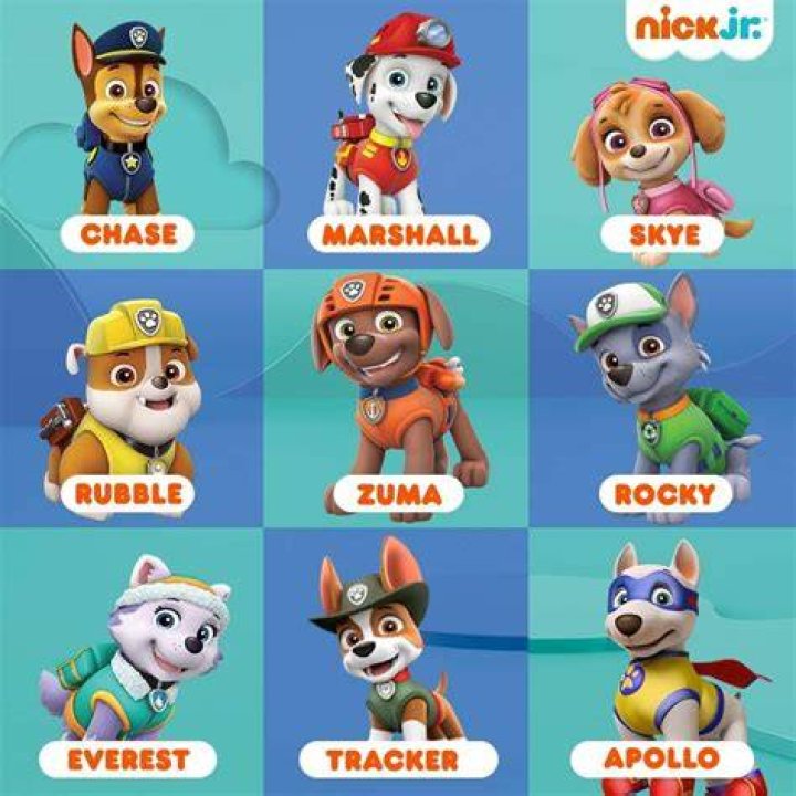 Paw Patrol Names of Characters: A Comprehensive Guide