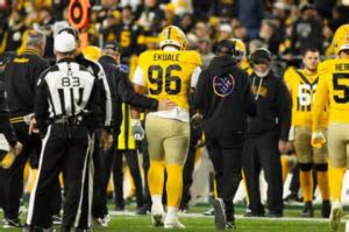 The Pittsburgh Steelers' Game-Changing Signing: A Samoan Defensive Lineman Redefines the NFL Landscape
