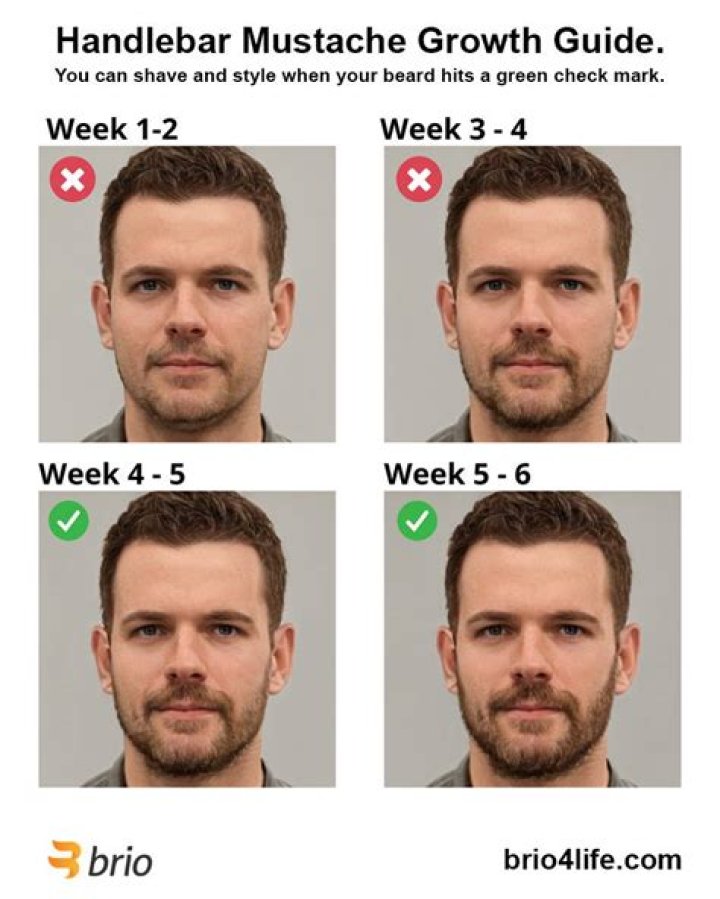 The Ultimate Guide to Mustache Growth Patterns