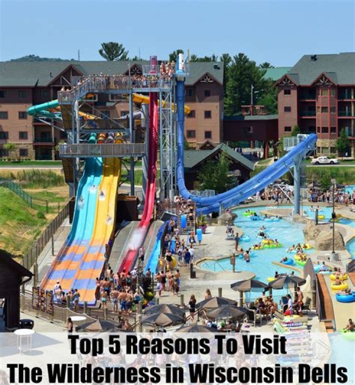 The Wilderness Cabins Wisconsin Dells: Your Ultimate Guide to Nature and Luxury