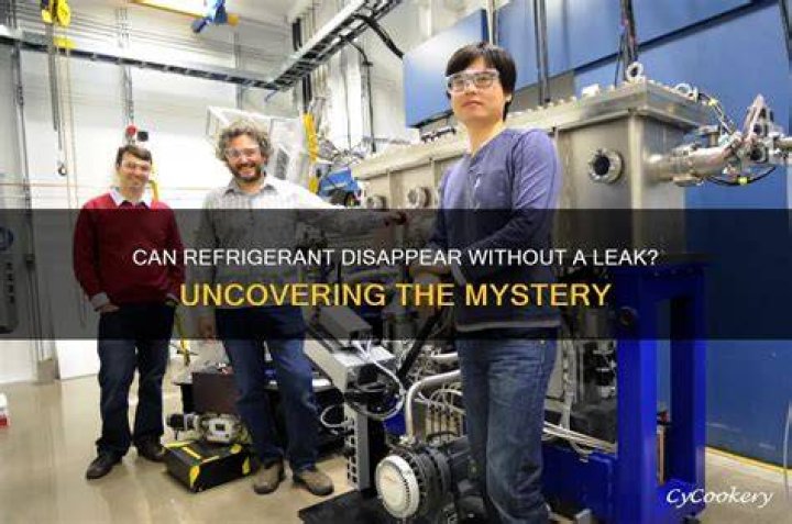 Uncovering the Mystery of the Sophieraiin Leak