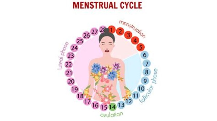 Understanding the 49 PRON Period: A Comprehensive Guide