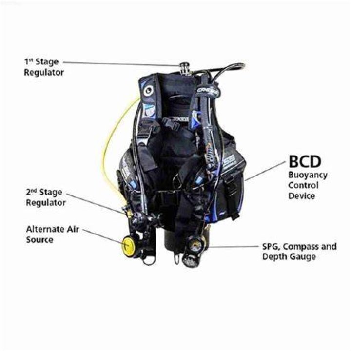 Understanding the Essential Role of Scuba Diving BCD in Underwater Adventures