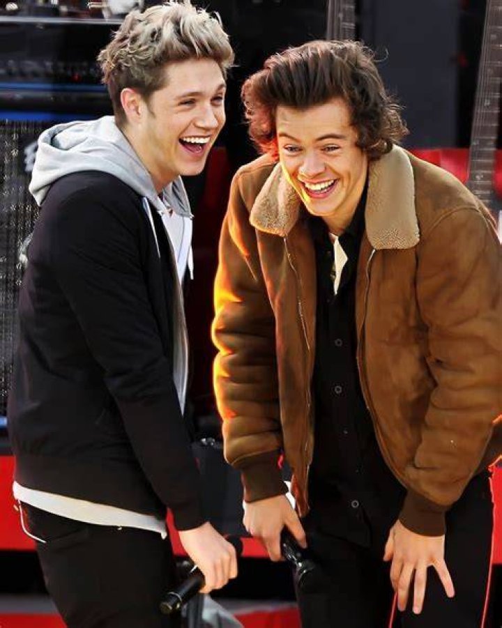 Unlikely Collaborations: The Dynamic Duo of Niall Horan and P Diddy