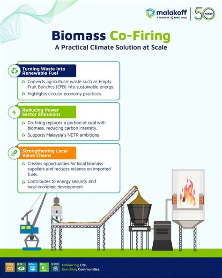 Unlocking the Potential of Co-Firing: A Sustainable Energy Solution