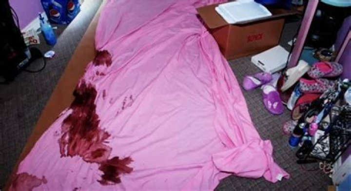Unraveling the Mystery: The Enigma of Gypsy Rose Crime Scene Photos