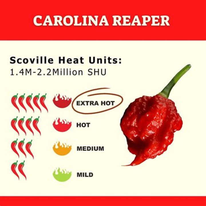 Unveiling the Fiery Fury: Carolina Reaper's Scoville Heat Scale
