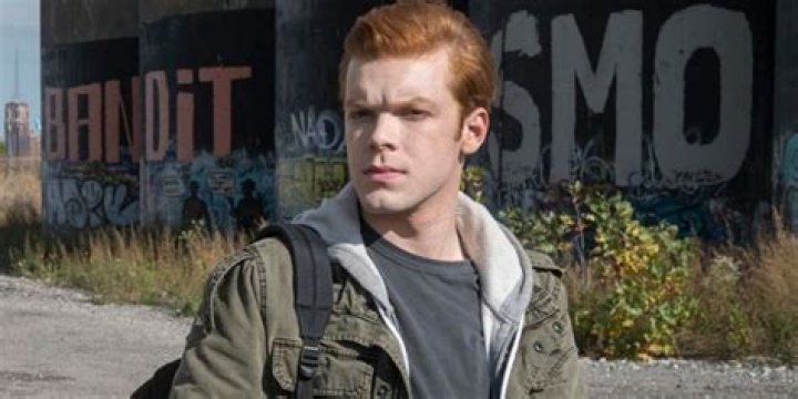Unveiling the Life of Shameless US Ian: A Journey Through Chaos and Comedy