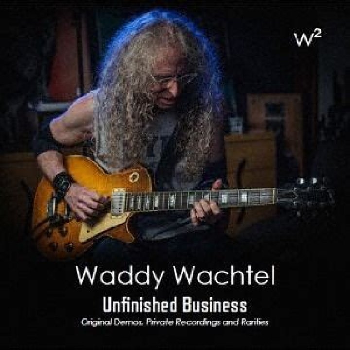 Unveiling the Musical Genius of Waddy Wachtel