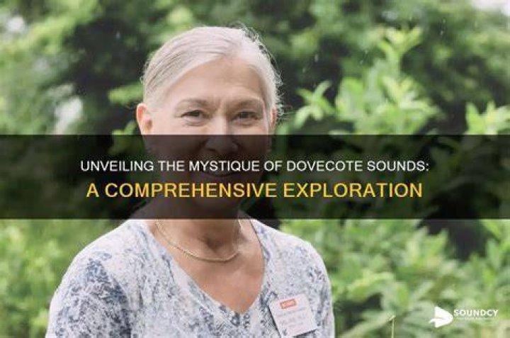 Unveiling the Mystique of Sotwe: A Comprehensive Exploration