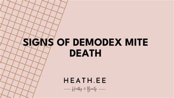 Unveiling the Signs Demodex Mites Are Dying
