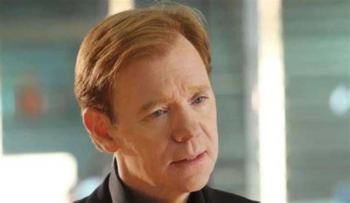 Unveiling the Wealth: David Caruso Net Worth