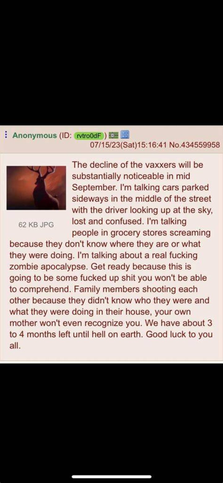 Your Vaccine: The Only Hope Against the Zombie Apocalypse